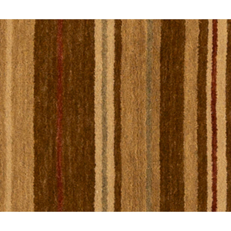 Hand Knotted Area Rug in Brown