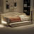 Upholstered Twin XL Size Daybed With LED Belt And Trundle, Beige-1065511466