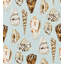 COQUINA - OUTDOOR-161175282