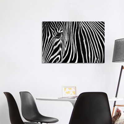 Zebra In Lisbon Zoo by Andy Mumford - Gallery-Wrapped Canvas Giclée on Canvas