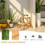 Allenby 2 - Step Wood Step Stool
