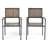 Outdoor DINING CHAIR,Set of 2