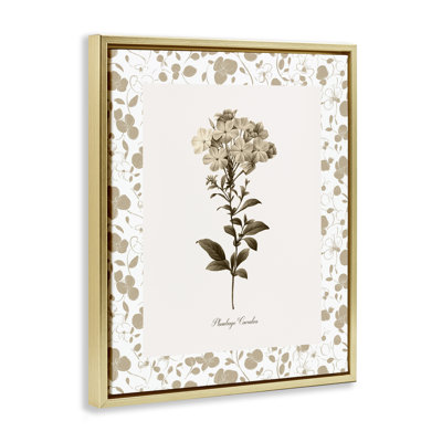 Neutral Imperial Botanical Floating Frame, design by Kelly Donovan