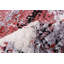 Tapis rose marocain-1798406779