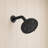 Nova 5.5 in. 9-Spray Round Fixed Shower Head-126375062