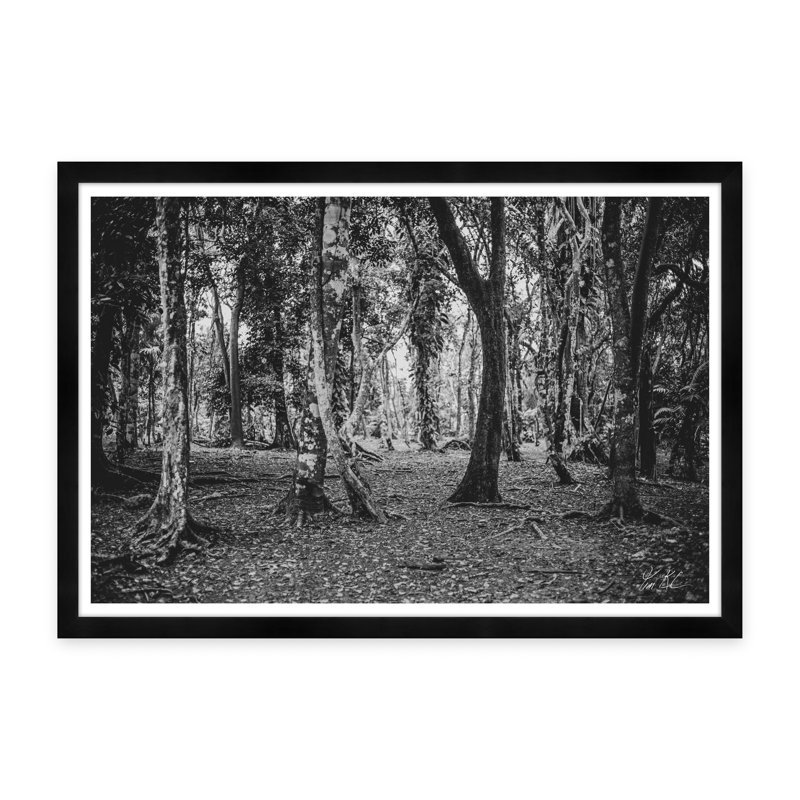 Forêt - Photographie avec cadre photo