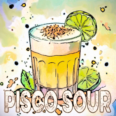 Pisco Sour cocktail 16 x 16