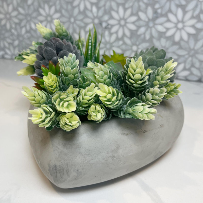 Heart-Shaped Gray Concrete Succulent Planter Pot