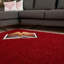 Myshaggy Collection Rugs Solid Design in Red-972915933