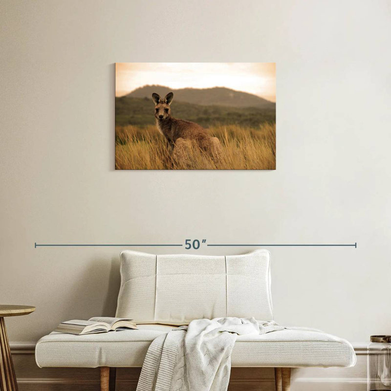 Brampt Wild Kangaroo, 20" H x 30" W