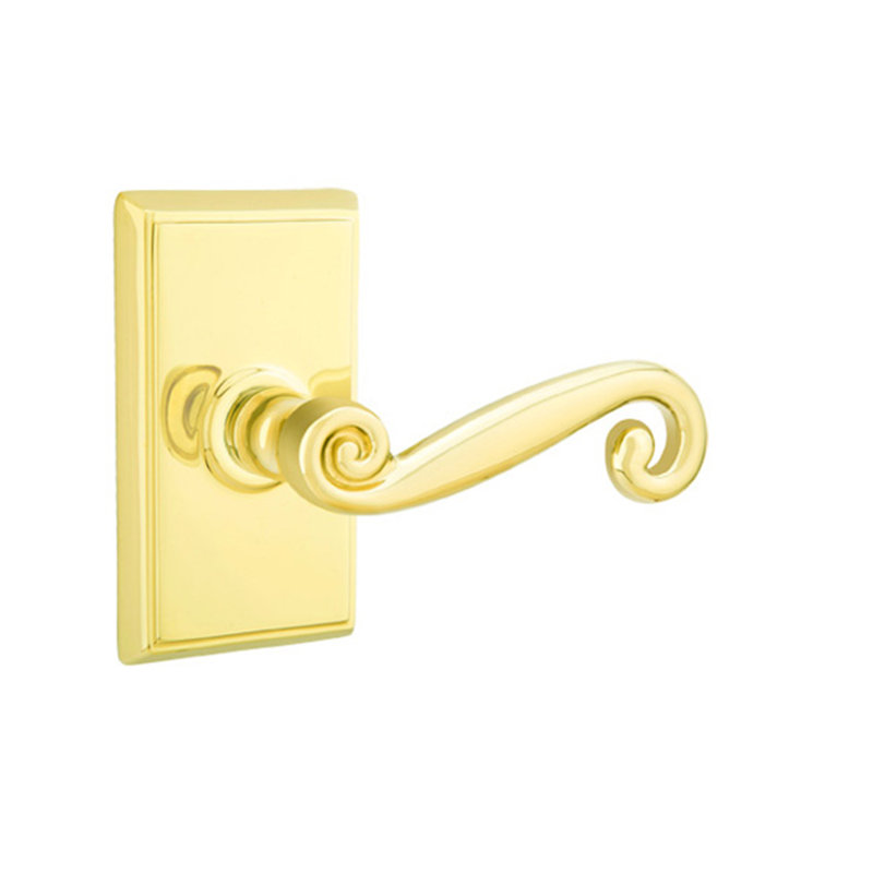 Double porte faux levier avec rosette, Laiton poli, Droite