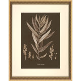 Sepia Leaves On Chocolate I Painting