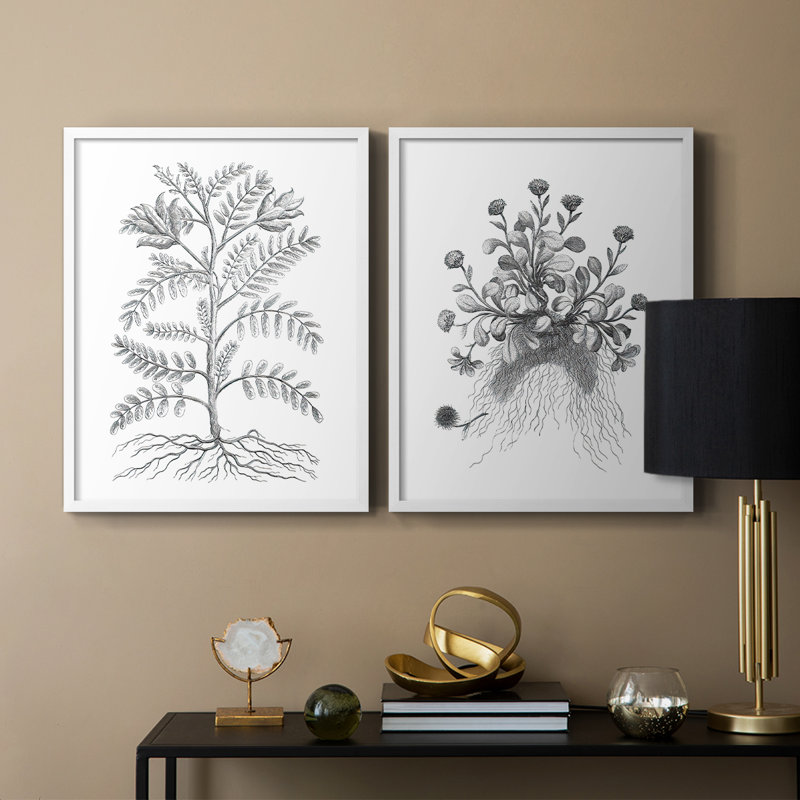 Reproduction encadrée de qualité supérieure B&W Plant Speciment IX - prête à être accrochée - aucun clou requis - aucun clou requis
