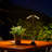 Multifunctional Outdoor Stand Light - Metallic Gray