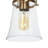 Strasburg 5-Light Dimmable Chandelier with Seeded Glass Shades
