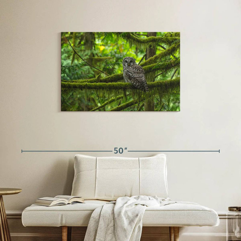Brampt Mossy Tree Owl, 24" H x 36" W