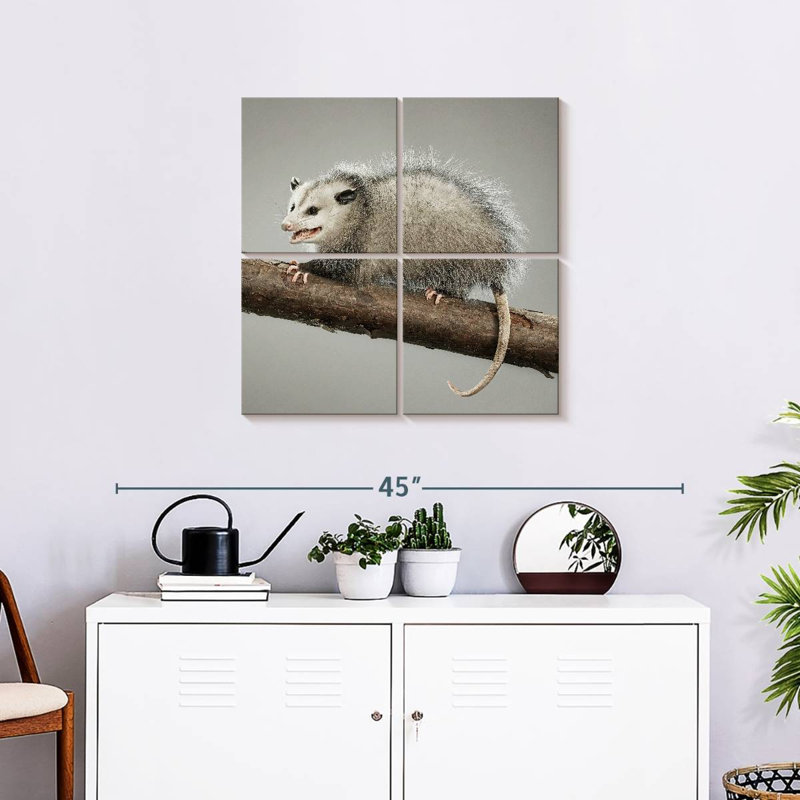 Bramoss Snarky Opossum, H 26 po x l 26 po