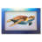 Coastal Wall Decor-439800822