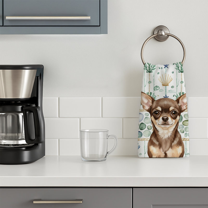 Torchon chocolat chihuahua, Chocolate Chihuahua