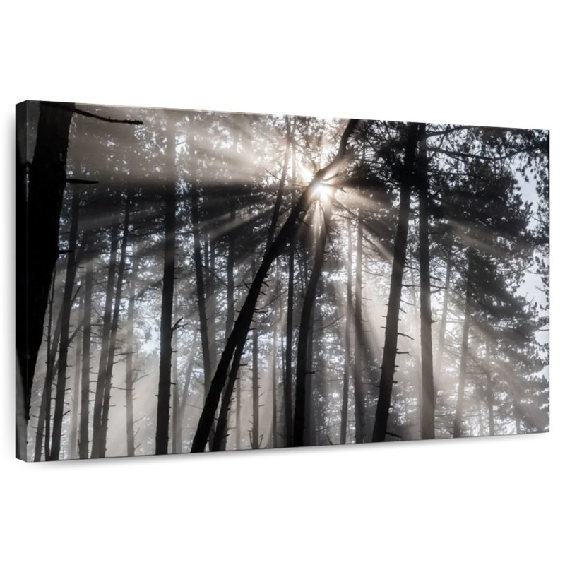 Alvord Forest Sun Beam, 32" H x 48" W