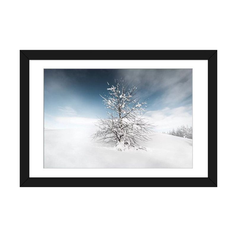 «Winter Tree» par Andreas Stridsberg - impression sur toile tendue, H 24 po x l 32 po x P 1 po, Papier d'art encadré noir