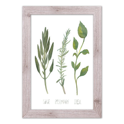 " Herbs "