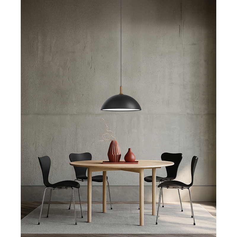 1 - Light Dome Pendant, Black/Nature