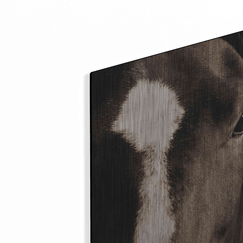 Métal luxueux «Dark Eyes» par Lisa Dearing, métal «Dark Eyes» par Lisa Dearing, H 16 po x l 24 po