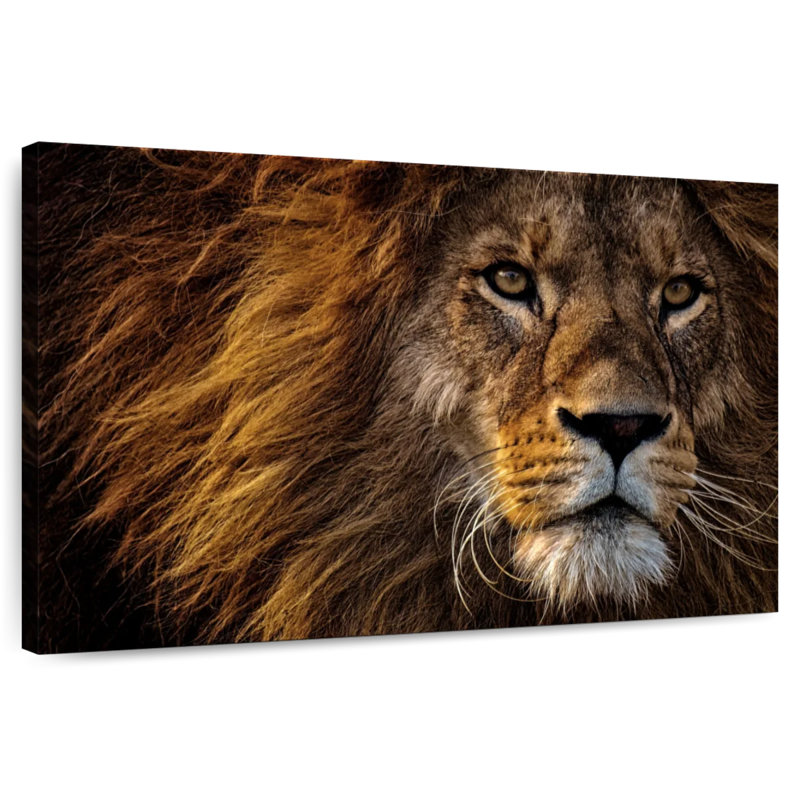 Brampt Wild Haired Lion Head, 26" H x 39" W