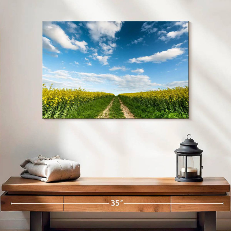 Alvord Flower Field Path