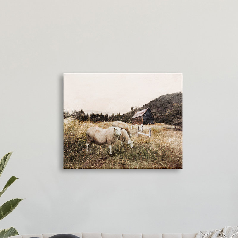 Automne, champ, moutons, pâture, grange sauvage - photographie, H 24 po x l 30 po, Giclée encadrée blanc bord de mer