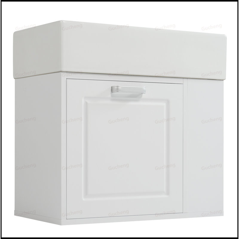 Meuble-lavabo mural 21,8 pouces avec porte-papier hygiénique, Blanc