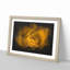 Golden Rose Flower - Picture Frame Graphic Art Print-56863106-56863103