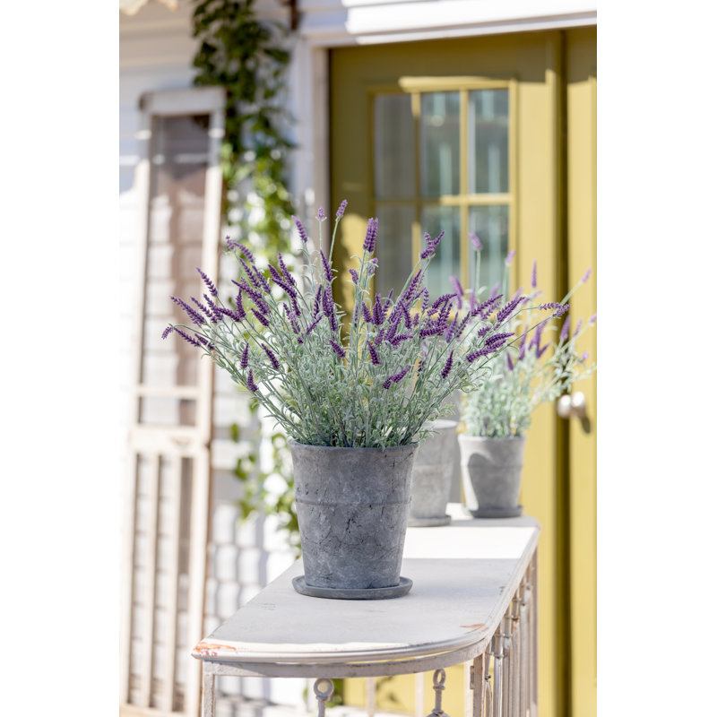 Pot à fleurs en ciment Meyer, H 10 po x l 8,5 po x P 8,5 po