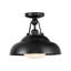 Palmetto 1 - Light Semi Flush Mount-464004312