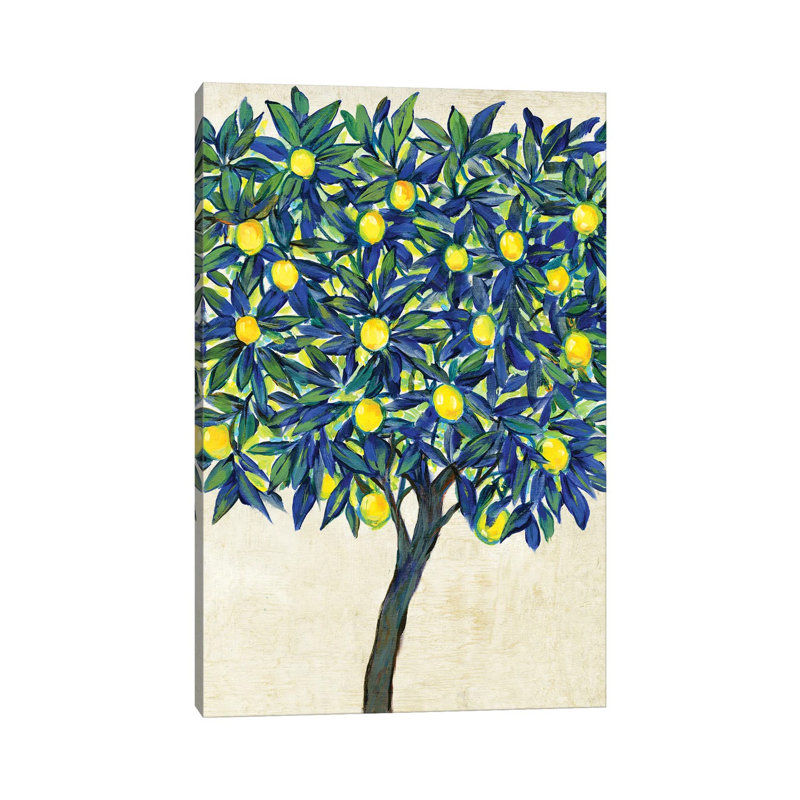 Lemon Tree Composition by Tim OToole - Wrapped Canvas Print, 66.04 cm H x 45.72 cm W