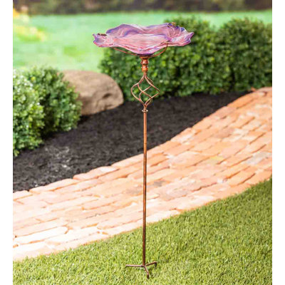 Amron Glass Single Tier Birdbath