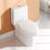 Ally Dual-Flush Elongated One-Piece Toilet with Glazed Surface Modern Toilet with Comfort Seat Height  (Seat Included)