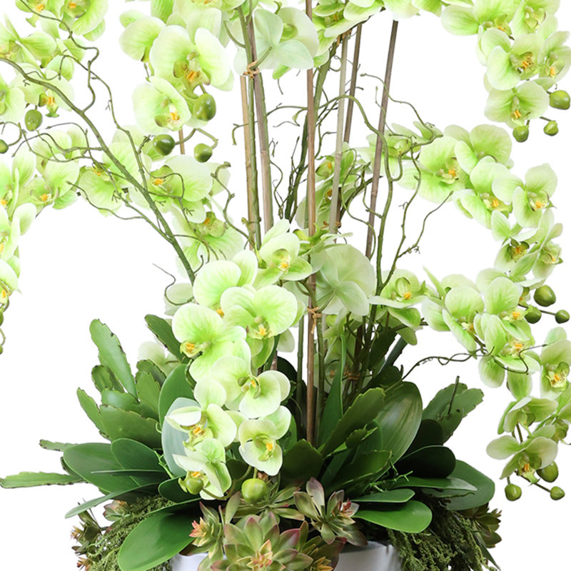 Orchid Arrangement with Cactus in Fiberstone Planter, Green