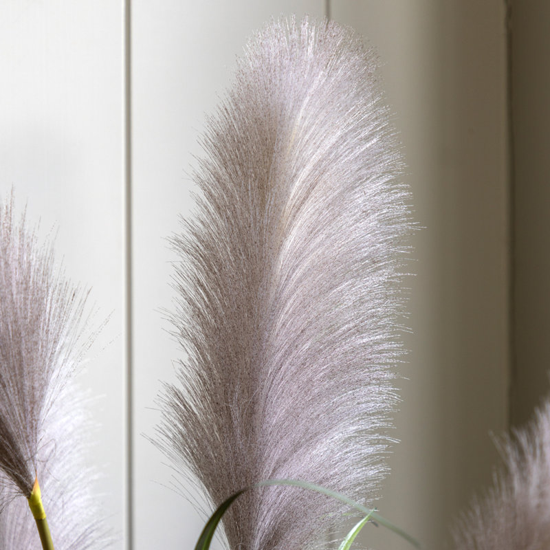 Potted Grass with Pampas Seed Heads (5pk) 1570mm