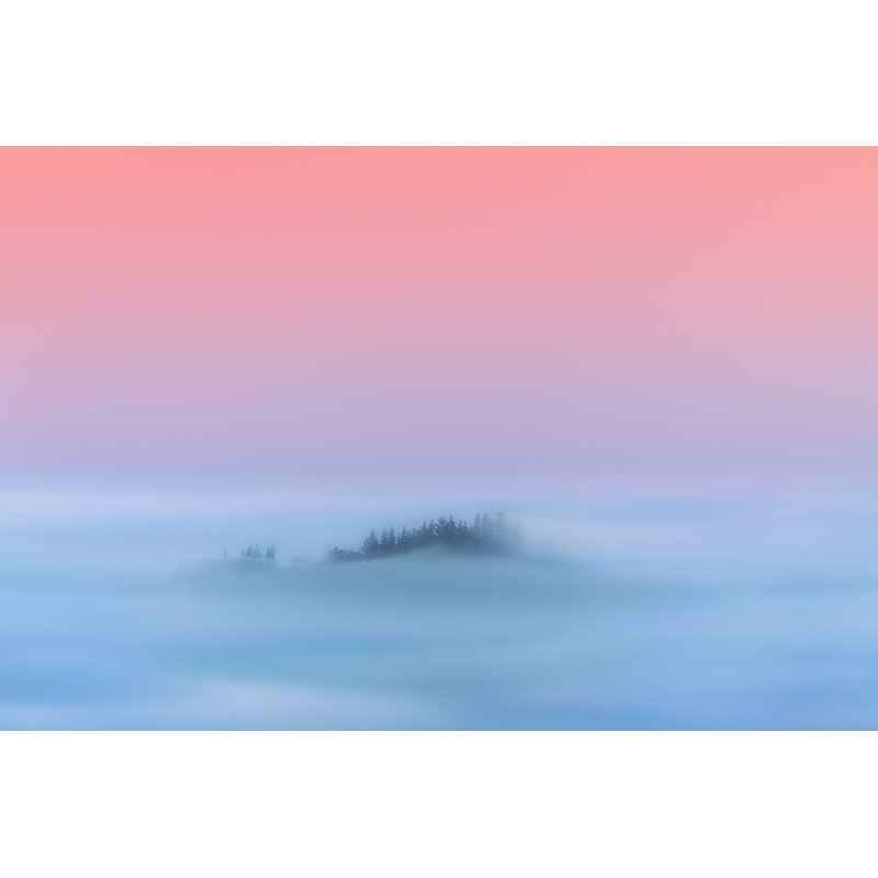 Hazy Forest by Mimadeo - Wrapped Canvas Print, 81cm H x 122cm W