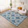 Abstract Machine Printed Area Rug