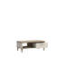 Rohil Coffee Table with Storage