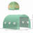 Walk-In Greenhouse, Steel Frame Greenhouse With Roll-Up Zipper Door And Windows