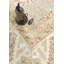 Melody One-of-a-Kind 10'2" X 19'9" Area Rug