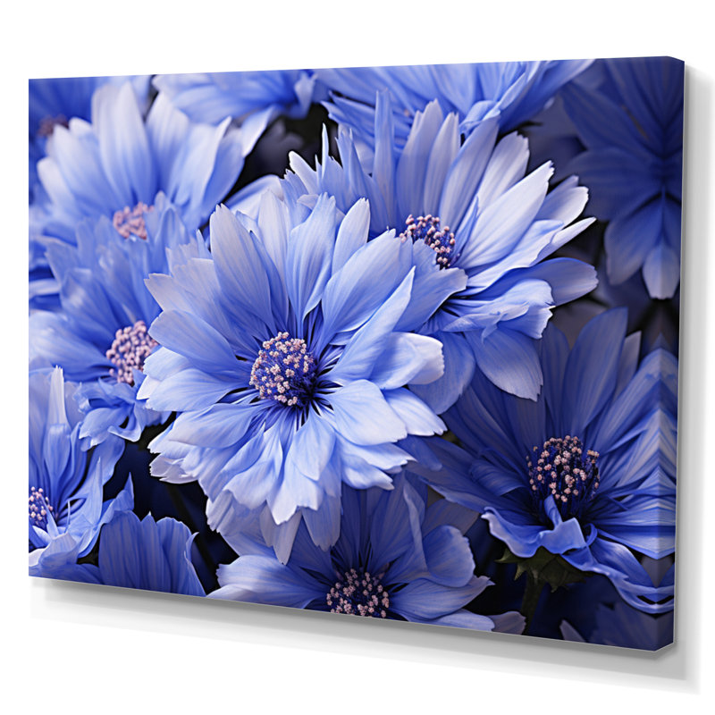 Cornflowers Field II, reproduction d'art sur toile, H 30 po x l 40 po x P 1,5 po, Toile tendue