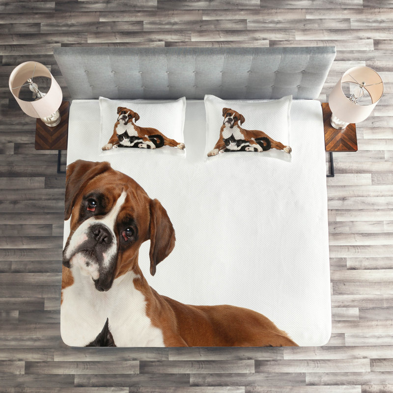 Farmhouse / Country Polyester Coverlet
