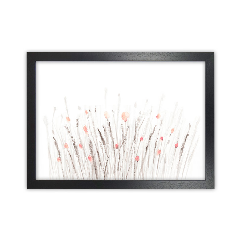 Botanicals IV - Print, 64cm H x 88cm W x 3cm D, Black Framed, Paper