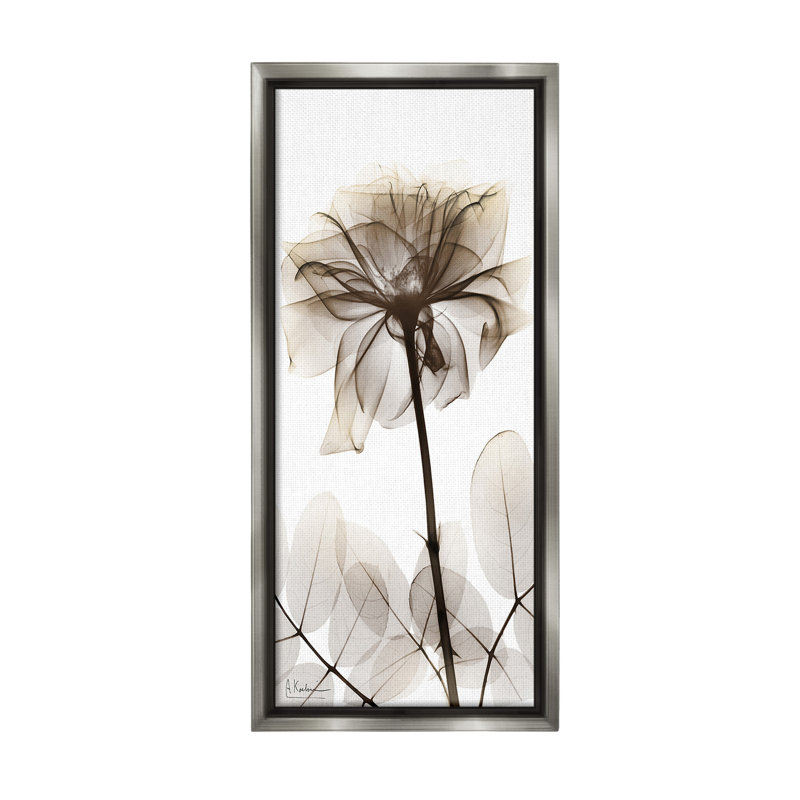 «Blooming Opaque Flower Floater Frame» par Albert Koetsier sur, Cadre flottant gris lustré, H 31 po x l 14 po