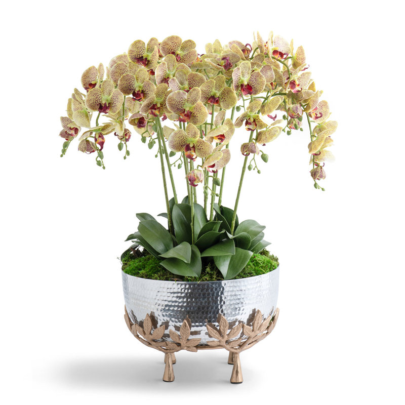 Orchids in Mixed Metal Urn, Green